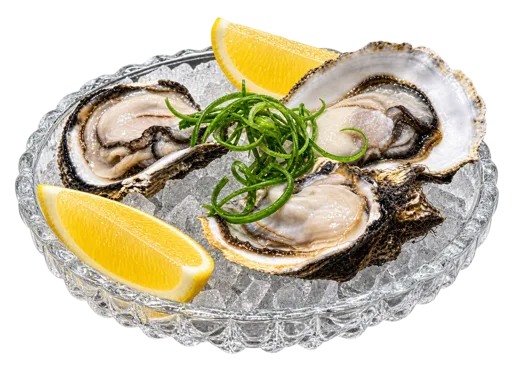 Oyster sashimi
